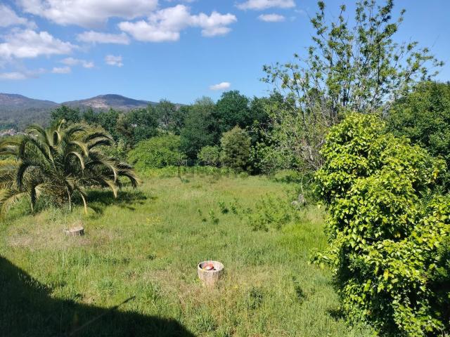 Terreno, Ponteareas