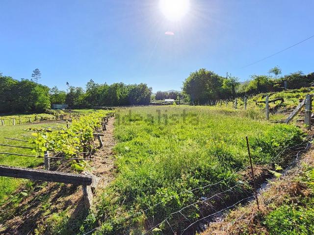 Terreno, Ponteareas
