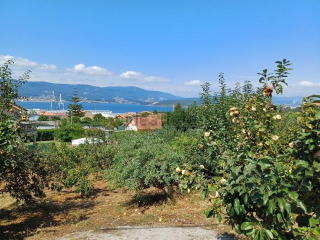 Terreno, Pontevedra