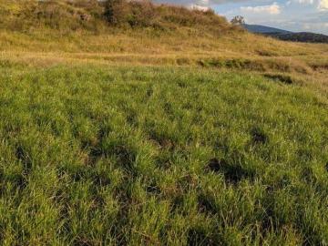 Terreno en venta por cascada la Piedad
