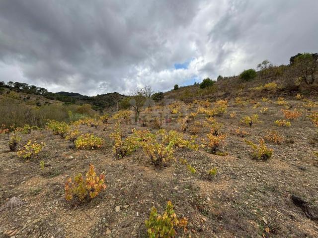 Terreno, Porrera