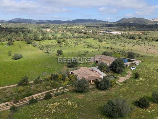 Terreno, Porreres