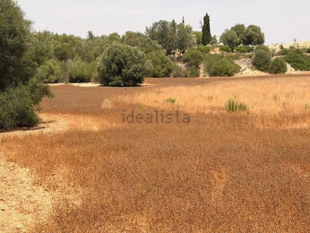 Terreno, Porreres