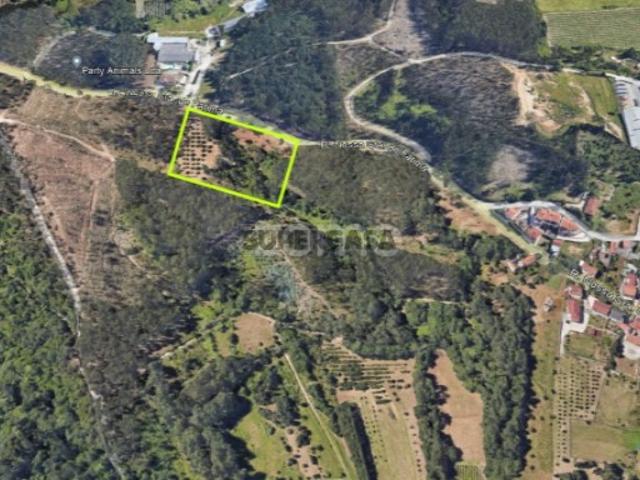 Terreno Portas da Cidade Zambujo