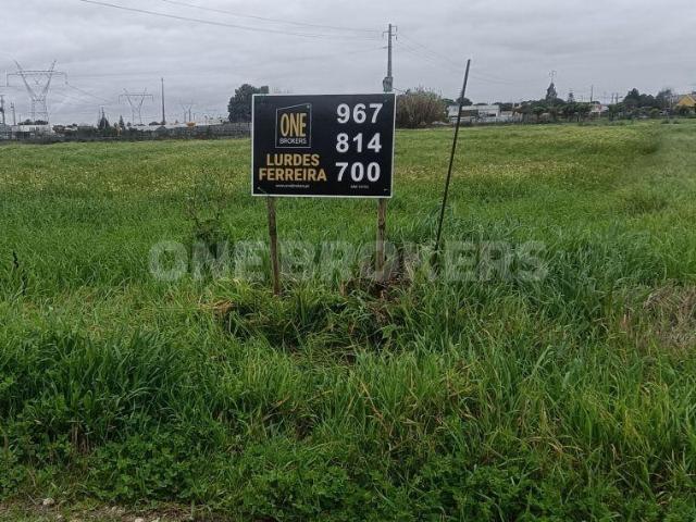 Terreno Porto Alto | 26073920492