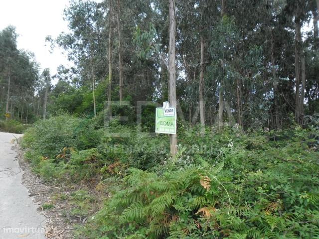 Terreno, Pousada de Saramagos