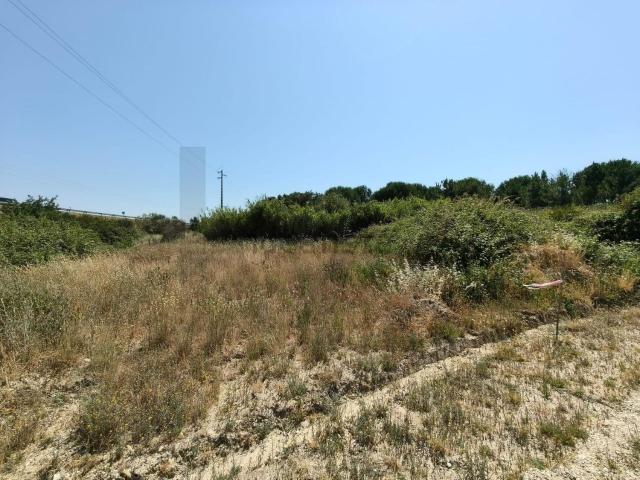 Terreno, Póvoa da Isenta
