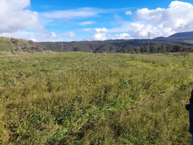 Terreno, Prades
