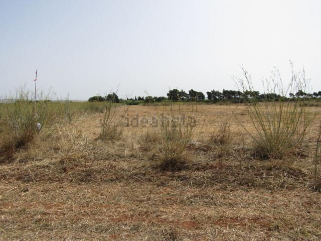 Terreno, Praia da Falésia, Albufeira e Olhos de Água