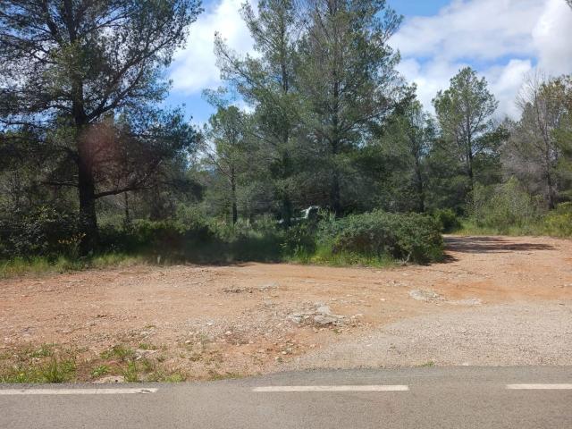 Terreno, Pratdip