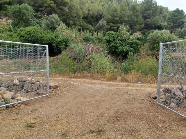 Terreno, Pratdip