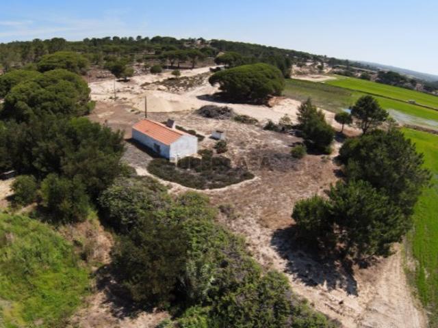 Terreno Premium com Ruína em Melides