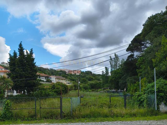 Terreno Premium para Investimento Imobiliário em Alcobaça