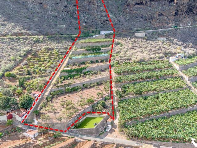 Terreno productivo excepcional en Buenavista del Norte