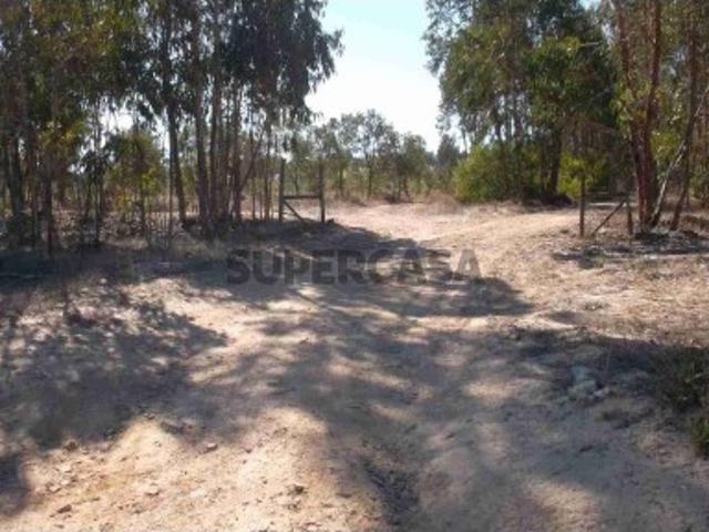 TERRENO PROPRIEDADE CURRAIS E JOÃO FRIO DE BAIXO