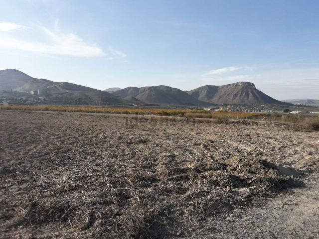 Terreno, Prosperidad La Cruz, Aspe