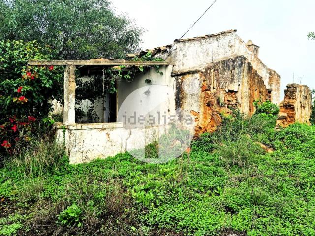 Terreno, Quelfes