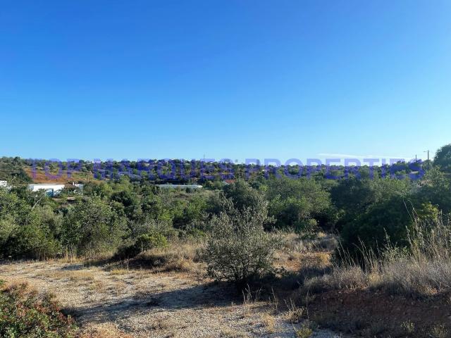 Terreno, Quelfes