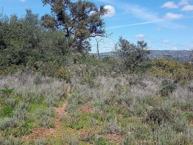 Terreno, Quelfes