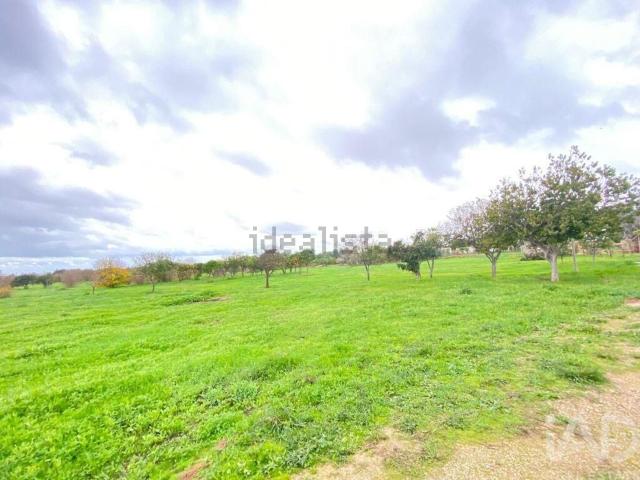 Terreno, Quelfes