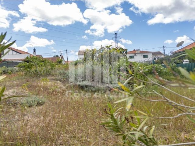 TERRENO QUINTA CONDE
