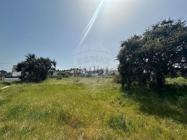Terreno, Quinta do Conde