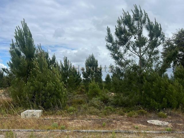 Terreno, Quinta do Conde