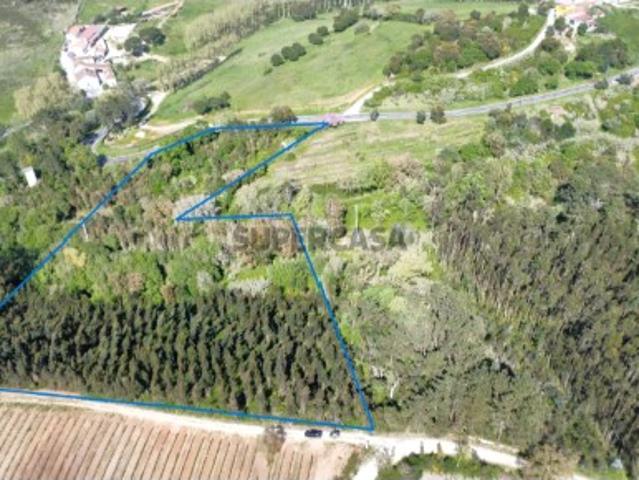 Terreno Rustico na Quinta dos Pinheiros Vidais