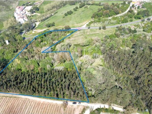 Terreno Rustico na Quinta dos Pinheiros Vidais
