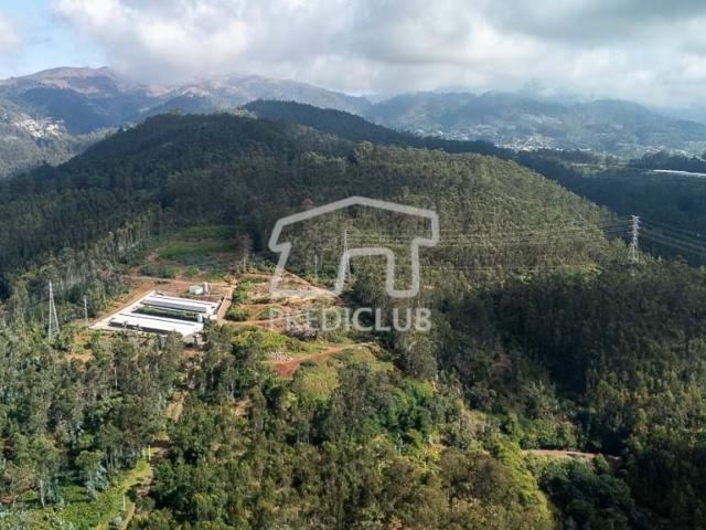 Terreno, Quinta Grande, Câmara de Lobos | BPI Expresso Imobiliário