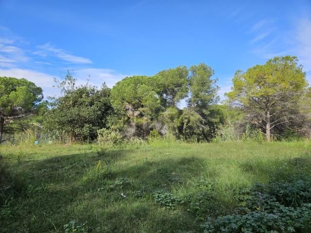Terreno, Rubí