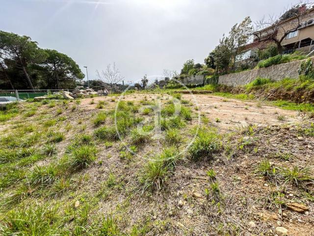Terreno, Rubí