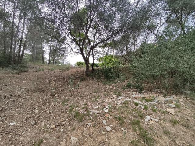 Terreno, Rubí