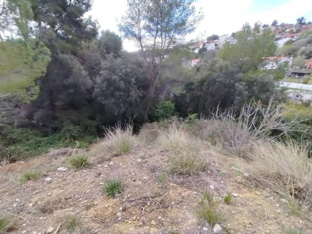 Terreno, Rubí