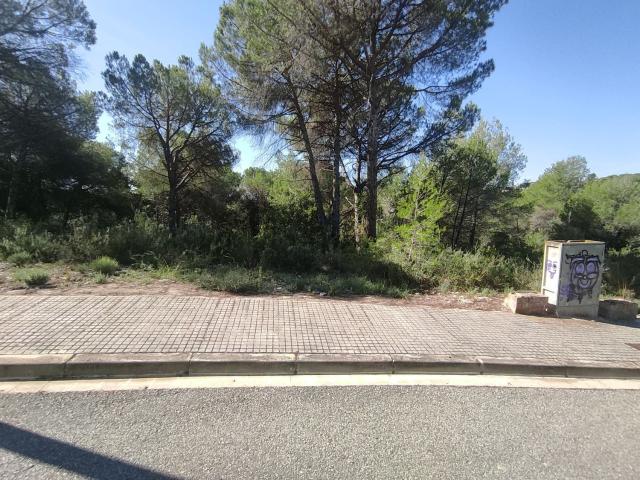 Terreno, Rubí