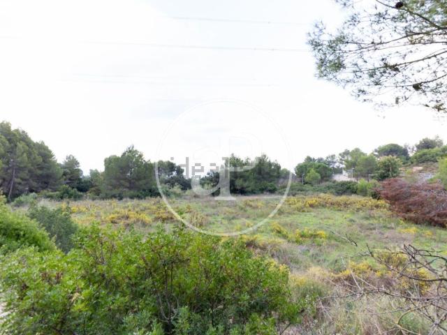 Terreno, Rubí