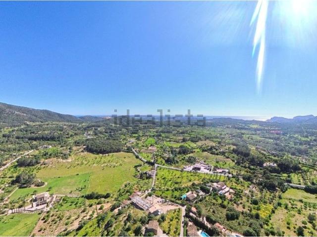 Terreno, Calvià