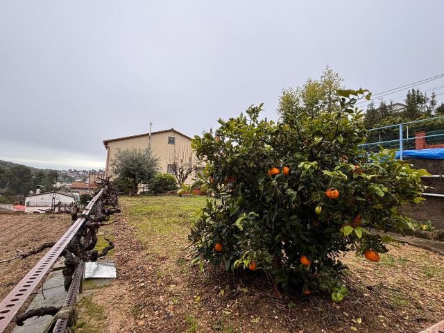 Terreno, Rubí