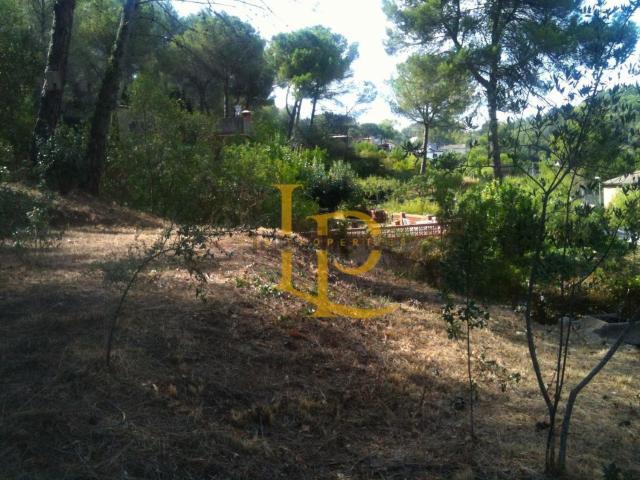 Terreno, Rubí