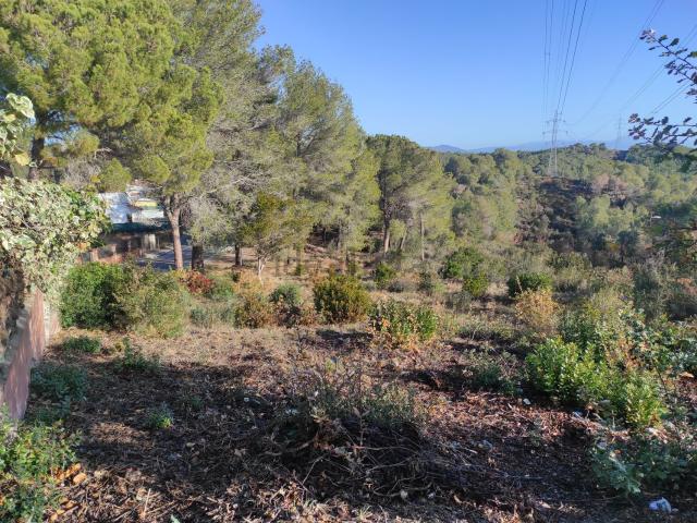 Terreno, Rubí