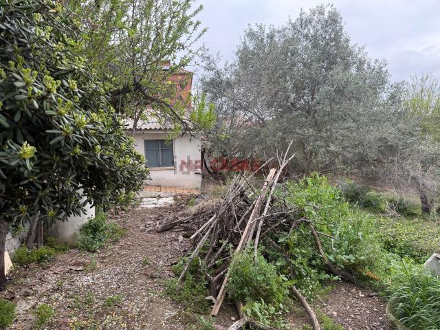 Terreno, Rubí