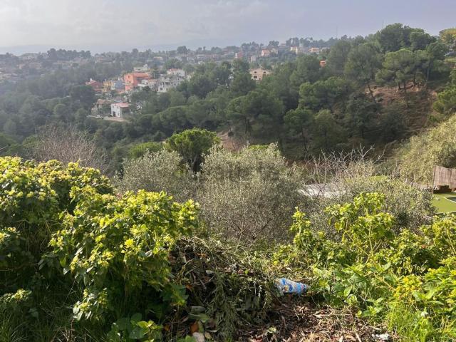 Terreno, Rubí
