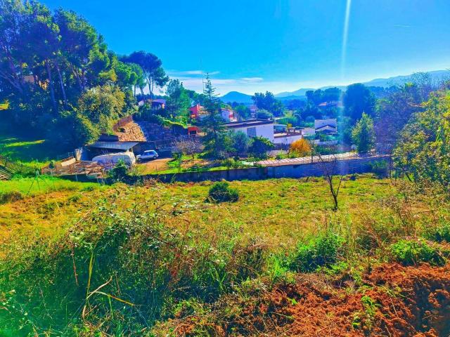 Terreno, Rubí