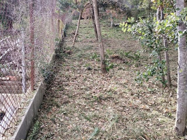 Terreno, Rubí