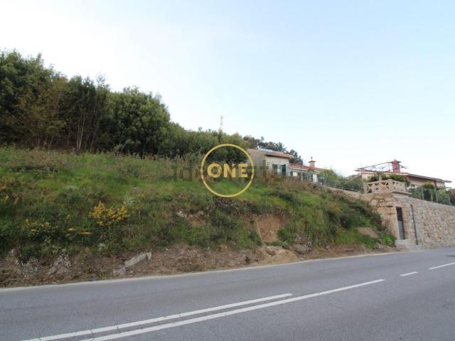 Terreno, Ruílhe