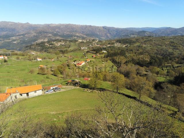 Terreno, Ruivães e Campos