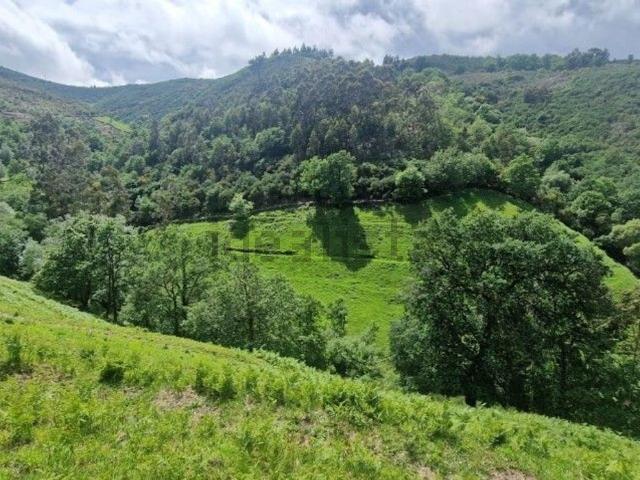 Terreno, Ruivães e Campos