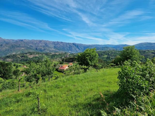 Terreno, Ruivães e Campos
