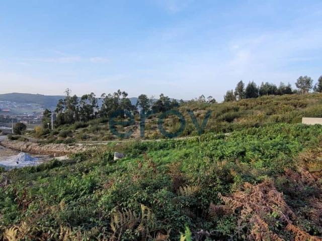 Terreno, Ruivães