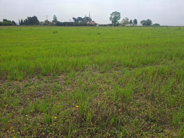 Terreno rustico 5941 m2